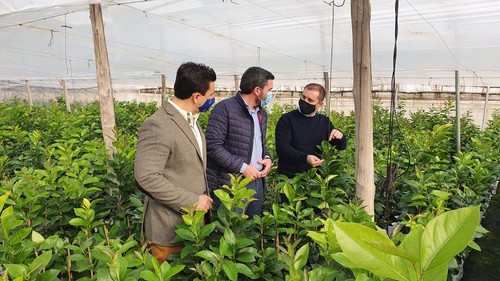 El Gobierno regional pide al Estado que agilice el reconocimiento de fitosanitarios para garantizar la competitividad del sector agrario