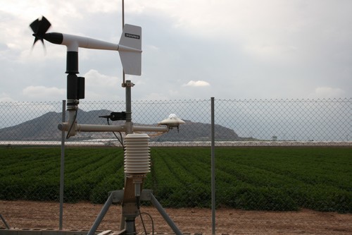  El IMIDA desarrolla una aplicación móvil gratuita que ofrece datos meteorológicos y programas concretos de riego según parcela y cultivo