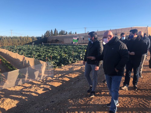 La agricultura del Campo de Cartagena sigue invirtiendo en tecnología para garantizar el uso óptimo de agua