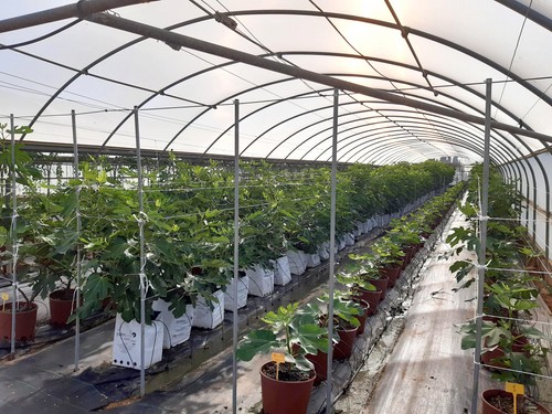 Projar recibe el sello PYME Innovadora por su constante apuesta en I+D+i