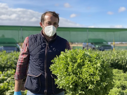 Ramiro Arnedo refuerza su posicionamiento en lechuga con bastiones como Cerler