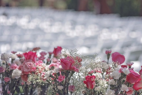 El mercado comunitario absorbió el 80% de las ventas españolas de flor y planta