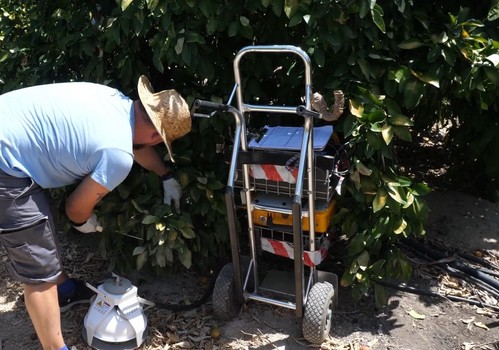 El IMIDA demuestra que el empleo de ozono con aguas regeneradas proporciona beneficios en el cultivo de cítricos