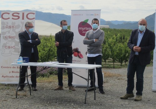 El IMIDA y el CEBAS-CSIC presentan sus dos primeras variedades de ciruela que podrán comenzar a cultivarse este mismo año