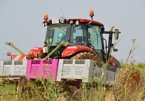 El Gobierno convoca las subvenciones destinadas a financiar avales por un valor de  3 millones de euros para la compra de maquinaria agrícola
