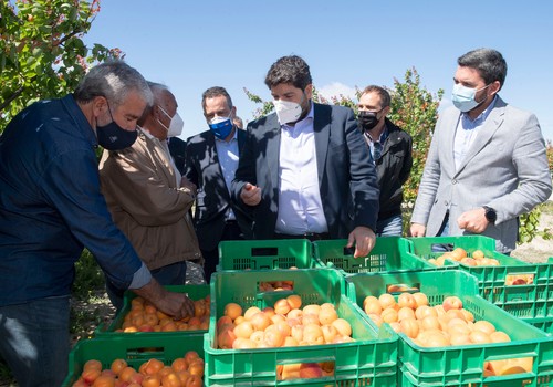 El Gobierno regional destinará 50 millones a más de 3.000 productores para mantenimiento y ampliación de la agricultura ecológica