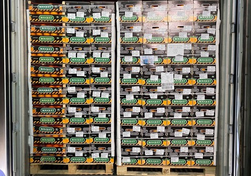 Anecoop abre vía comercial con Perú al enviar el primer contenedor de naranjas desde España
