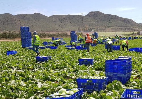 COAG considera que esta reforma de la PAC no es justa ni social  y acelerará el proceso de uberización del campo español y europeo