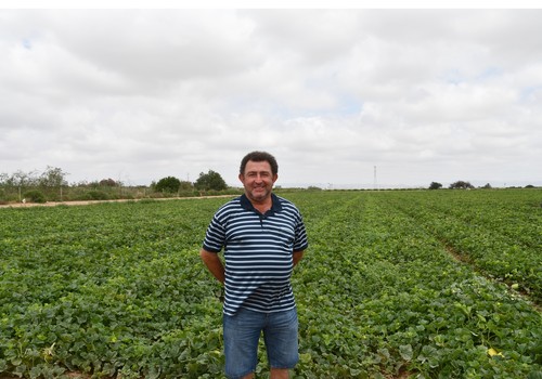“Con Benarés tengo el calibre que busco, sanidad y un aprovechamiento del 95 por ciento”