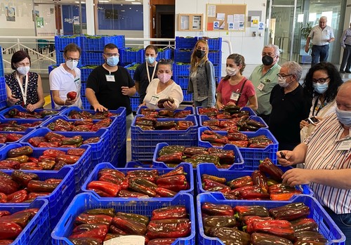 Los productores de pimiento abren sus puertas a la hostelería murciana de la mano de Semillas Fitó