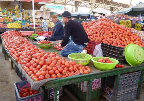 El Tribunal General de la UE anula los acuerdos pesqueros y agrícolas con Marruecos que incluyen al Sáhara Occidental