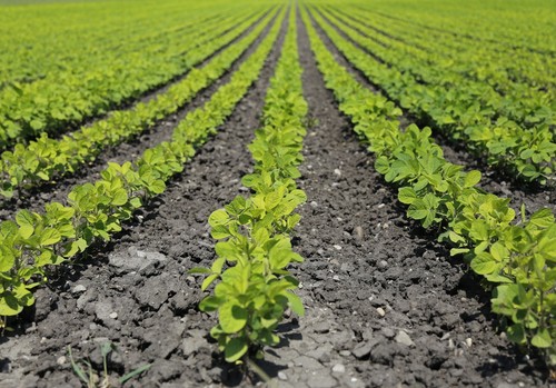 El Ministerio de Agricultura, Pesca y Alimentación abre al plazo de solicitud de plazas en estancias formativas del programa Cultiva 2021