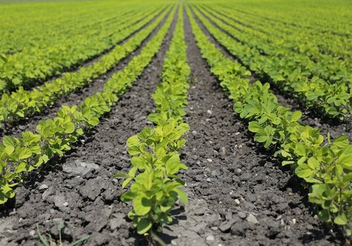 Autorizado un convenio que acerca a la FP un software de referencia en el sector hortofrutícola
