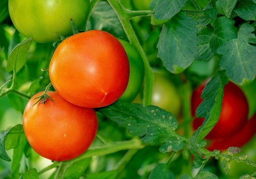 España importa frutas y hortalizas por valor de 2.401 millones de euros, el 67,5% procedente de países terceros