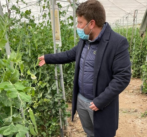 La Comunidad cofinancia un proyecto de transformación del guisante en producto gourmet