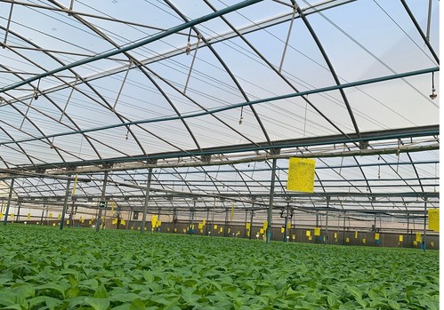 Ginegar ofrece las cubiertas más avanzadas para mejorar la productividad y gestionar los recursos