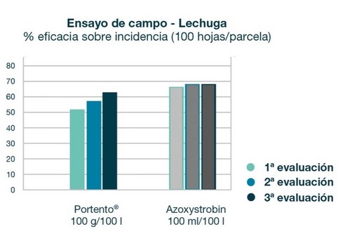Portento®, la nueva herramienta biológica para el control de mildiu de la lechuga a dosis bajas