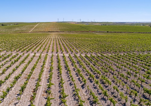 CAAE amplía su acreditación para poder certificar bajo el Nuevo Reglamento 848 de producción ecológica