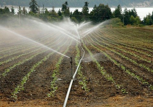 El Ministerio de Agricultura convoca la Mesa de la Sequía para el 4 de marzo
