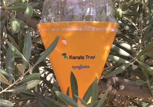 Syngenta lanza KarateTrap®B, una trampa para control integrado de mosca en olivar