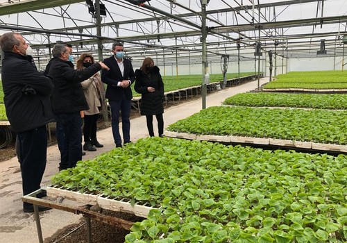 La Comunidad pone en valor el uso de plantas injertadas para hacer frente a las plagas y enfermedades del suelo