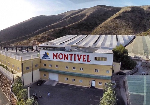 ANECOOP incorpora a la sociedad agraria Montivel como socio