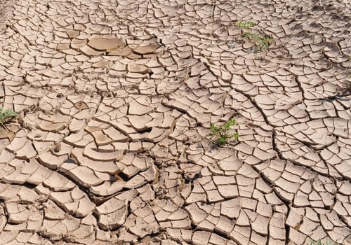 El Levante español se une contra el Plan Hidrológico del Tajo