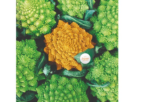 Amoresco®, la primera coliflor romanesco naranja, nominada al premio Fruit Logistica Innovation Award