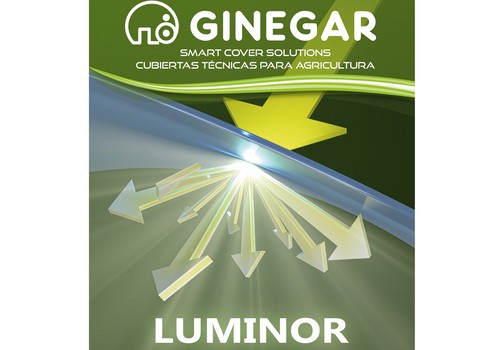Luminor, la cubierta multicapa con elevada resistencia mecánica y alta difusión de luz