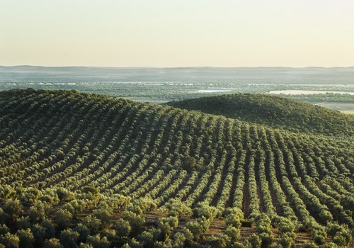 El Ministerio de Agricultura destina 2 millones de euros a programas de formación para el medio rural