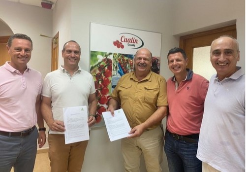 La alta tecnología de Cualin Quality y Rijk Zwaan impulsarán Reddery RZ de manera conjunta