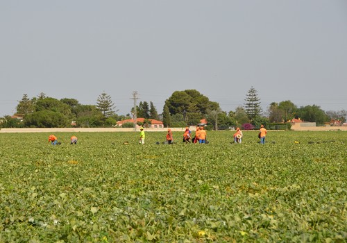 COAG organiza una jornada sobre el relevo generacional en el campo murciano