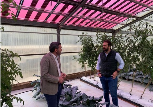 La Comunidad respalda el uso de placas fotovoltaicas en invernaderos para avanzar en la eficiencia energética del sector agrario