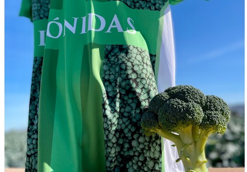 Así es Leónidas, el nuevo brócoli de Sakata con nombre de rey espartano ideal para la exportación