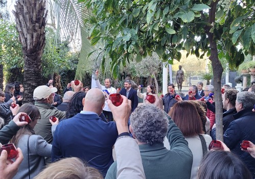 La Comunidad impulsa el cultivo de olivo ecológico con una inversión de 2,5 millones para mantener 6.400 hectáreas