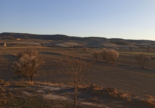 La sequía asfixia los cultivos de secano y complica la gestión de la PAC a miles de agricultores y ganaderos de la Región