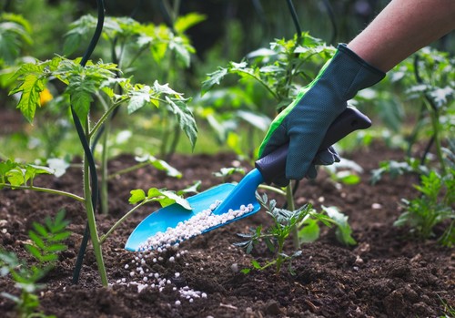 Fertiberia TECH lanza una nueva línea de productos biotecnológicos
