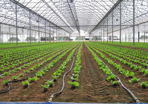 VitalFluid aterriza en Murcia para ayudar al control del agua y mejorar la producción agrícola