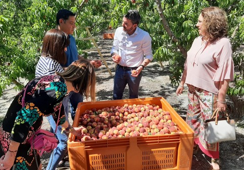  La Indicación Geográfica Protegida del ‘Melocotón de Cieza’ obtiene la aprobación definitiva de la Unión Europea