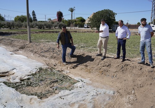 El campo murciano sufre las consecuencias de la lluvia y el granizo