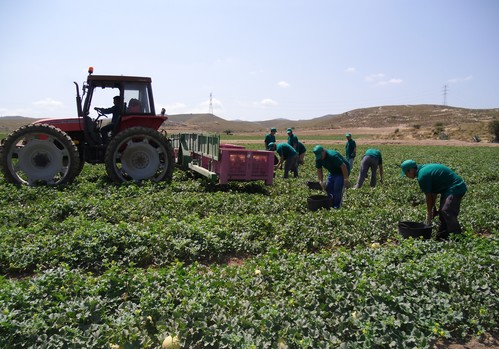 Empresas de Proexport activan las medidas de prevención y vigilancia de la salud por la ola de calor