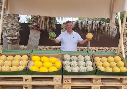 Semillas Fitó completa ciclo en microsemilla y presenta una nueva sandía rayada y melones con más resistencias