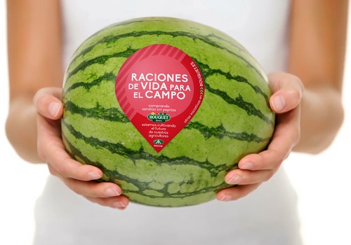 La sandía es un producto clave por el que hay que seguir apostando