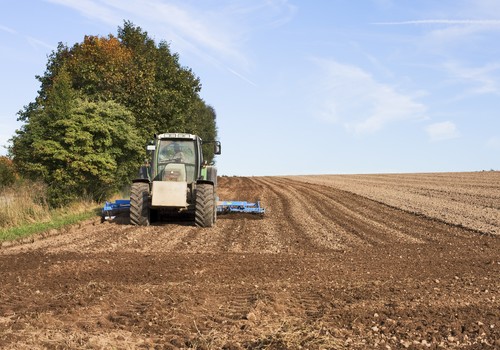 El Ministerio de Agricultura, Pesca y Alimentación analizará el contenido en carbono de los suelos agrícolas de España