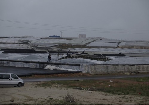Las primas del seguro agrario para el campo murciano se disparan y dificultan su acceso