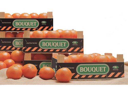Anecoop reparte 1.250 kilos de mandarinas bouquet en la 10KFEM de Valencia