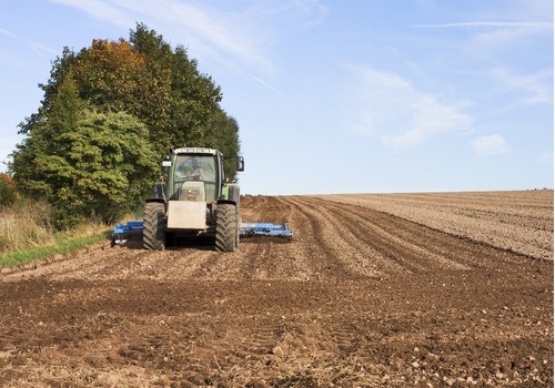 Las explotaciones agrarias de secano llegan al límite