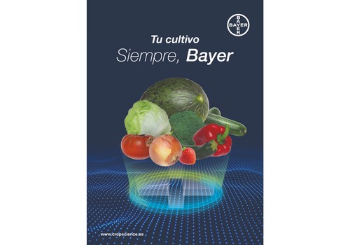 ''El concepto de solución en cualquier cultivo debe ser de efecto inmediato para afrontar los problemas de hoy, pero también pensando en el futuro''