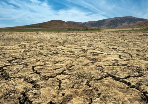 ASAJA, COAG y Cooperativas Agro-alimentarias piden al Ministerio de Agricultura la convocatoria urgente de la Mesa de la Sequía