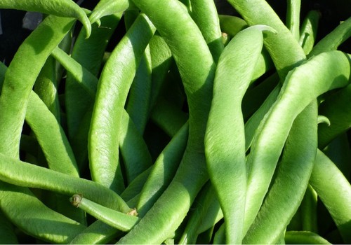 El consumo de frutas y hortalizas frescas en los hogares baja un 14% en los últimos cinco años